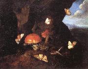 Still Life with Mushrooms and Butterflies